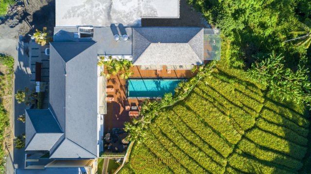 Rumah Mr. Gus De di Gianyar Bali 12